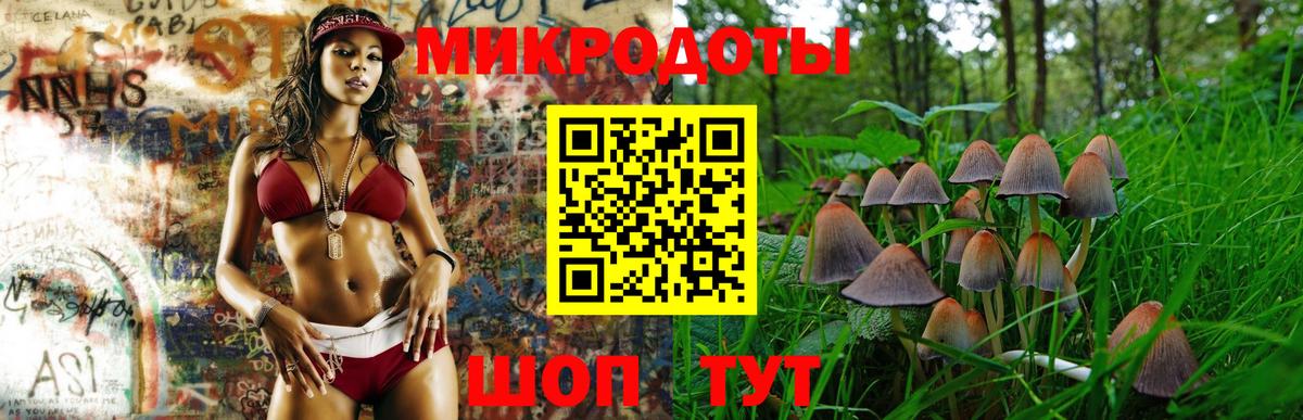 Псилоцибиновые грибы мухоморы Вязники